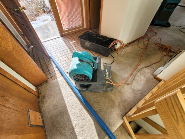 Best Water damage restoration near me  in USA